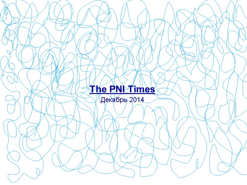 The PNI Times Декабрь 2014